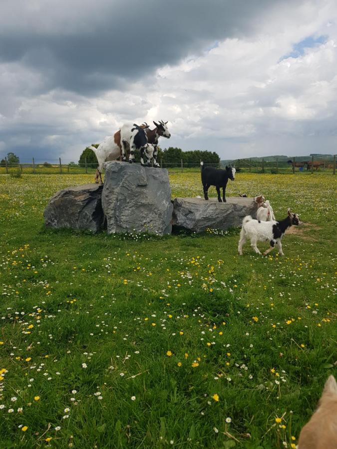 Des Blancs Cailloux * Mousny